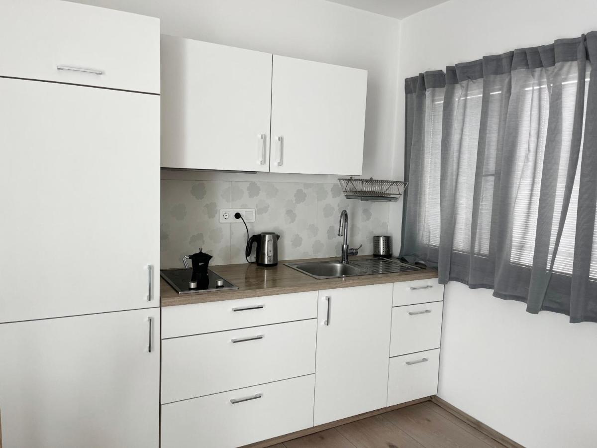 リュブリャナRenovated City Center Apt End Of Sept 23アパートメント エクステリア 写真